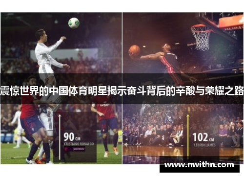 震惊世界的中国体育明星揭示奋斗背后的辛酸与荣耀之路